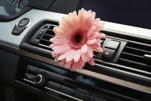 5 دلیل بوی بد خودرو و نحوه از بین بردن آن 2 air conditioning