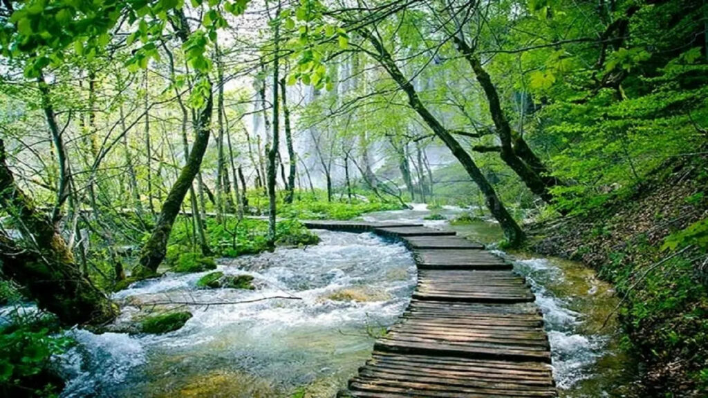 گرگان، شهری میان باران و رنگ