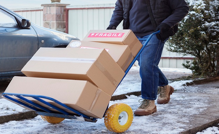 امکانات پیک با خودرو تپسی