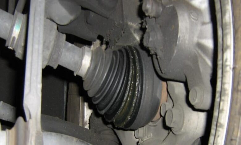 گردگیر پلوس چیست